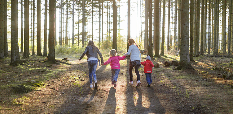 Fyra barn håller varandra i händerna och springer i en skogsmiljö.