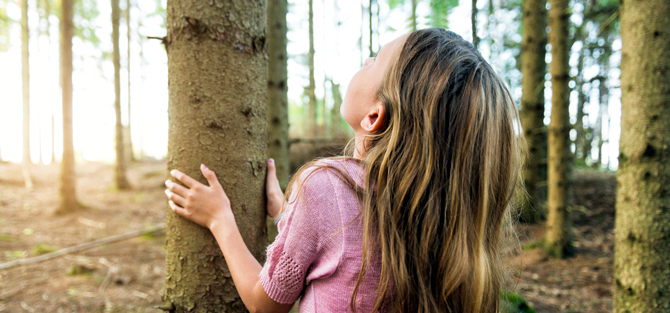 Girl holding hands around a tree trunk and looking up in a forest environment.